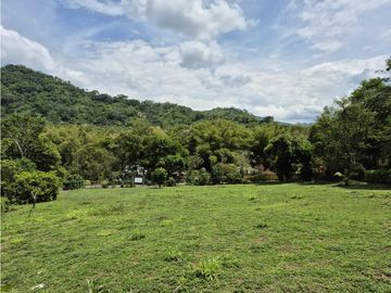 place photo 54