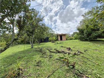 place photo 60