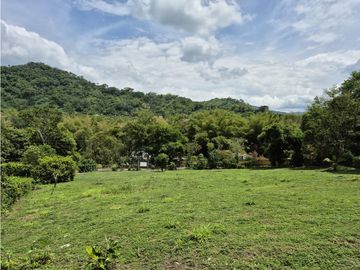 place photo 49