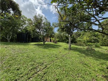 place photo 58