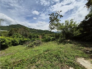 place photo 65