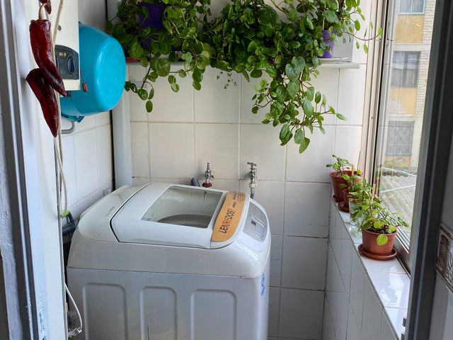 place photo 6