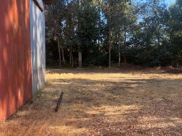 place photo 16