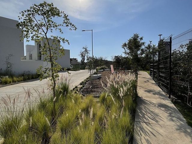 place photo 39