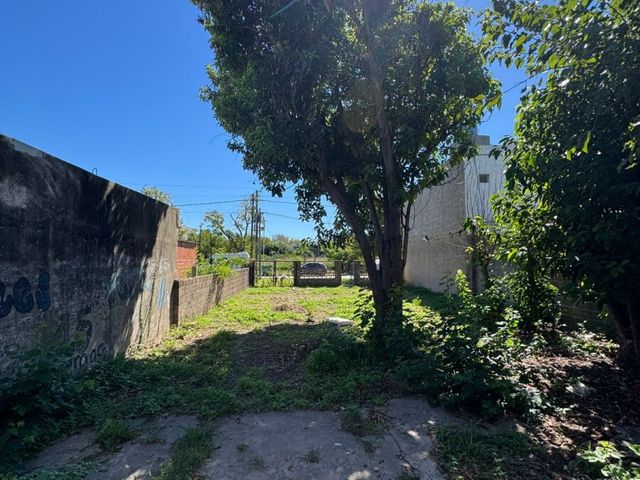 place photo 13