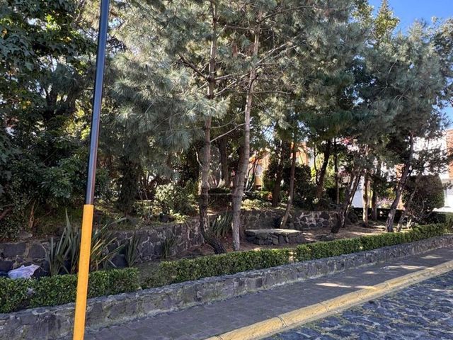 place photo 37
