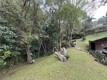 place photo 44
