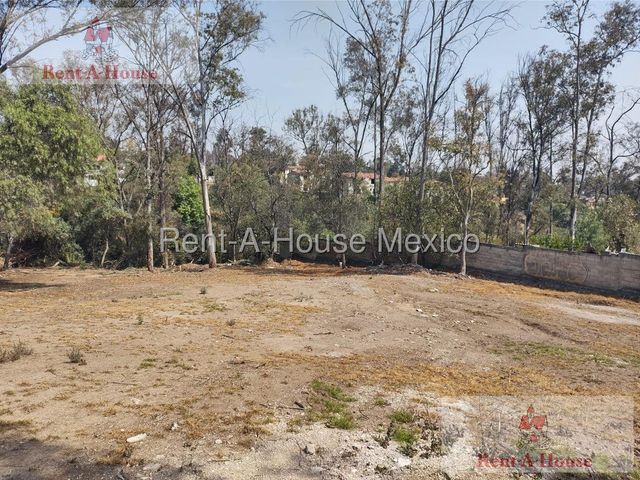 place photo 45