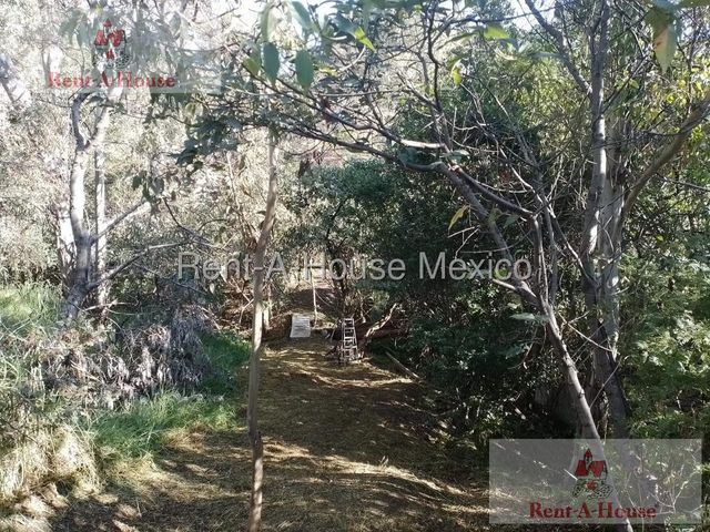 place photo 40