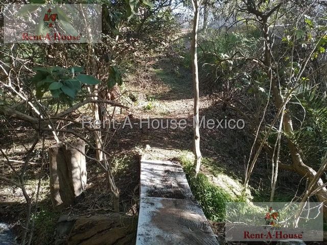 place photo 41
