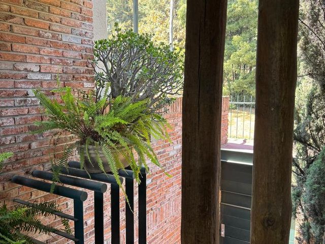 place photo 40