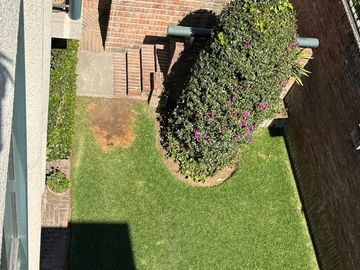 place photo 61