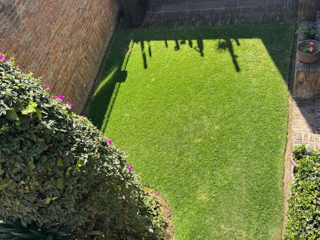 place photo 37