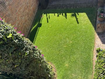 place photo 37