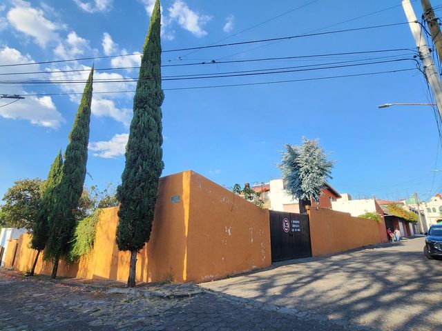 place photo 14