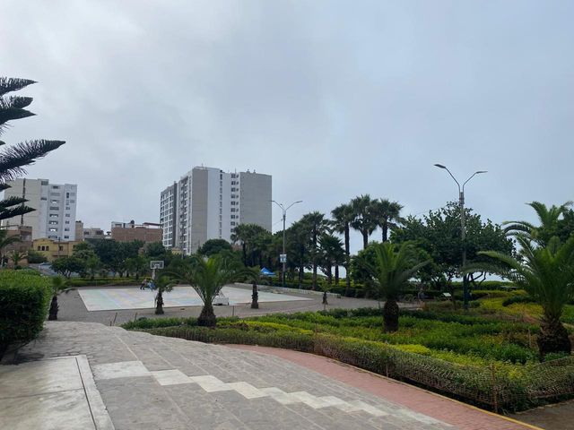place photo 29