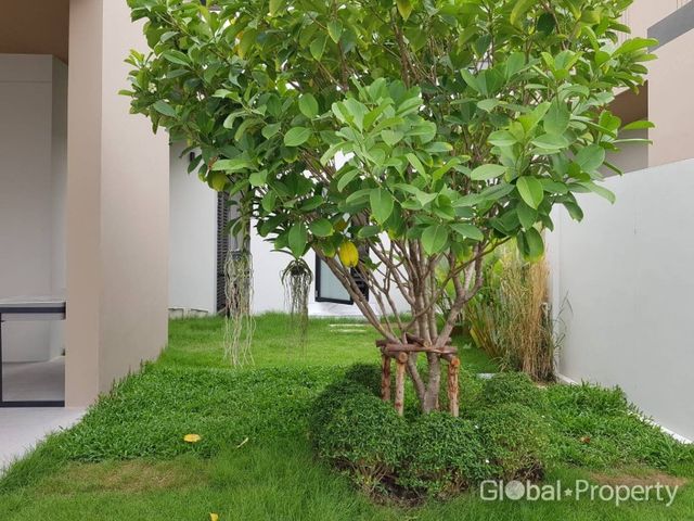 place photo 55