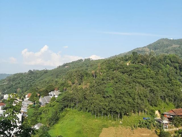 place photo 29