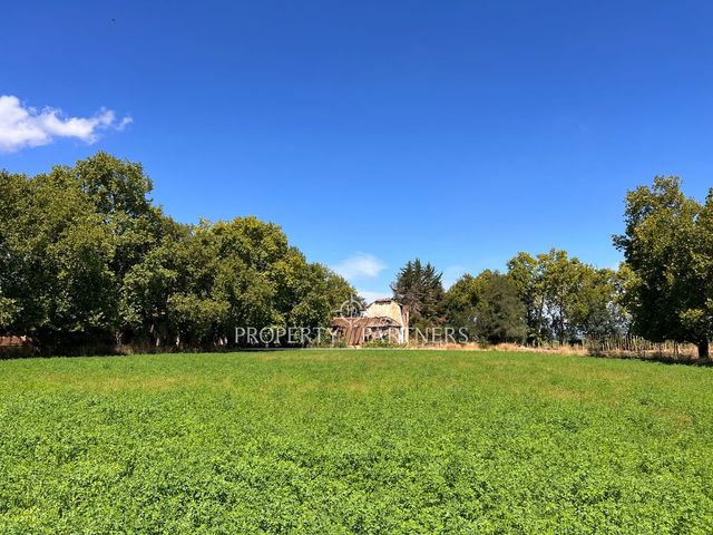 place photo 42