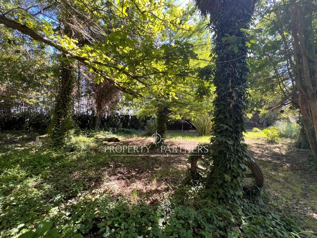 place photo 38