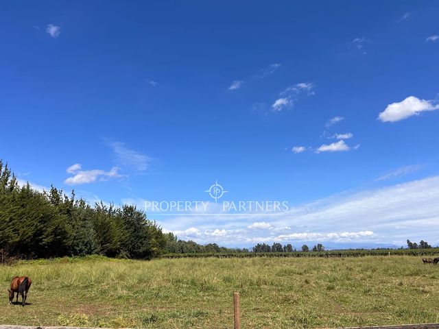 place photo 44