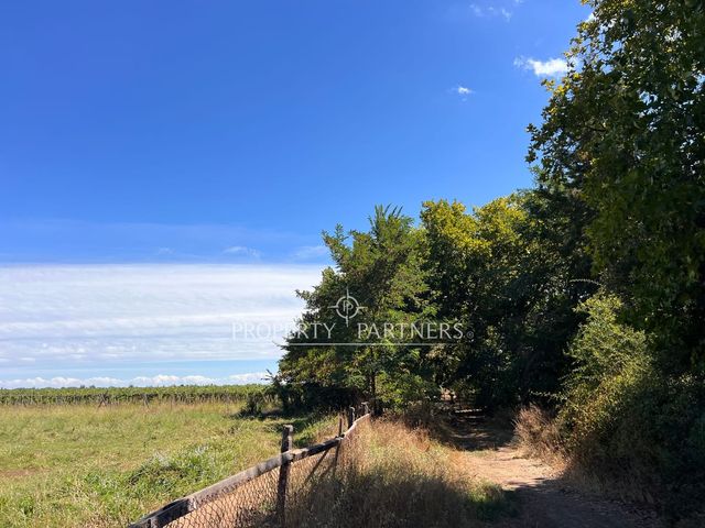 place photo 45