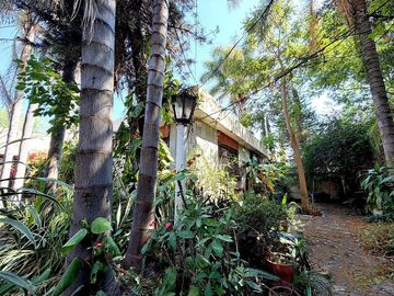 place photo 28