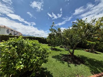 place photo 52