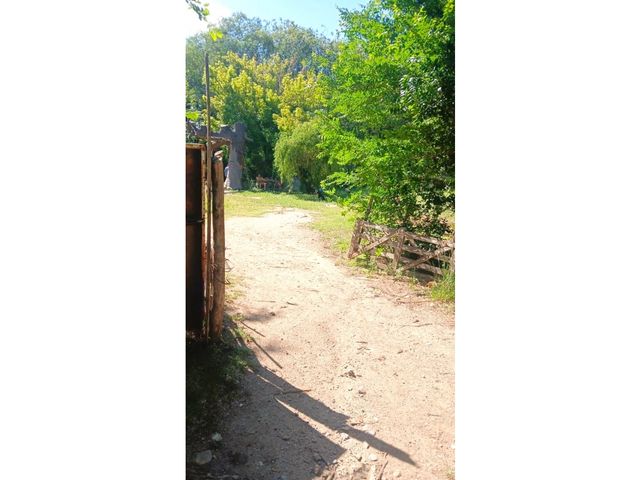 place photo 18