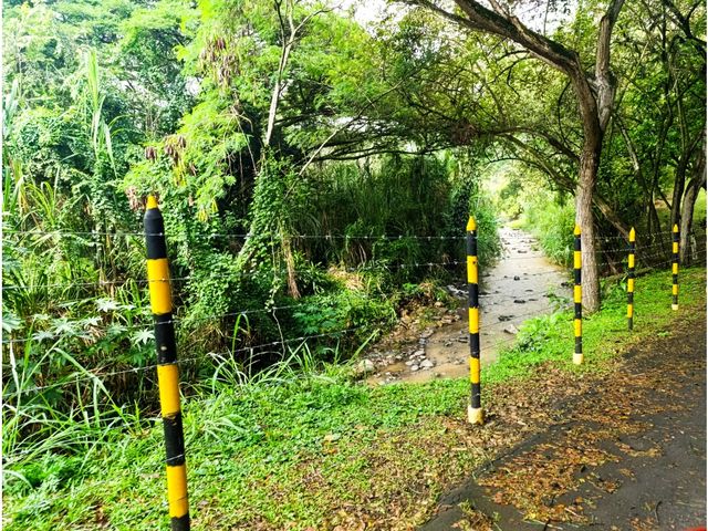 place photo 43