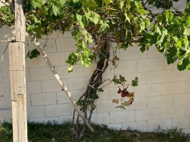 place photo 34