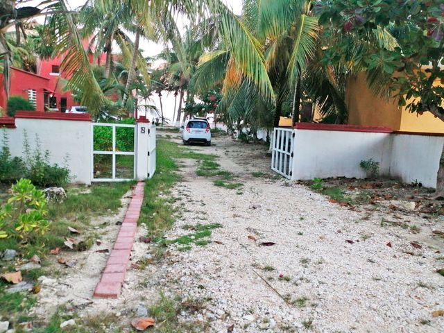 place photo 11