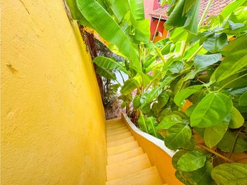 place photo 17