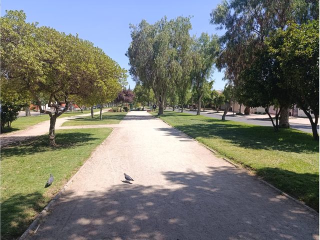 place photo 29