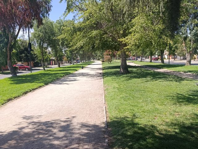 place photo 28