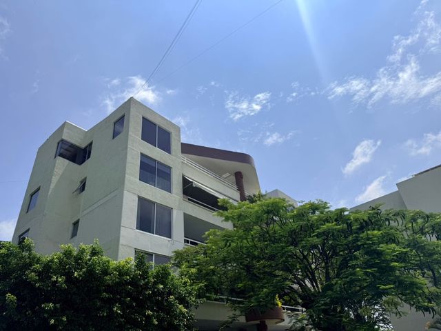 place photo 44