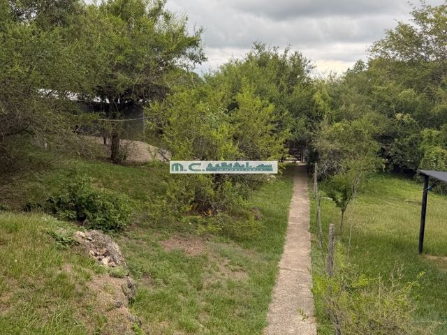 place photo 45