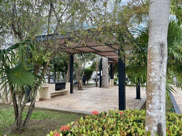 place photo 23