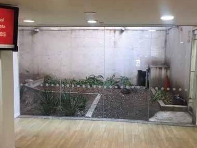 place photo 39