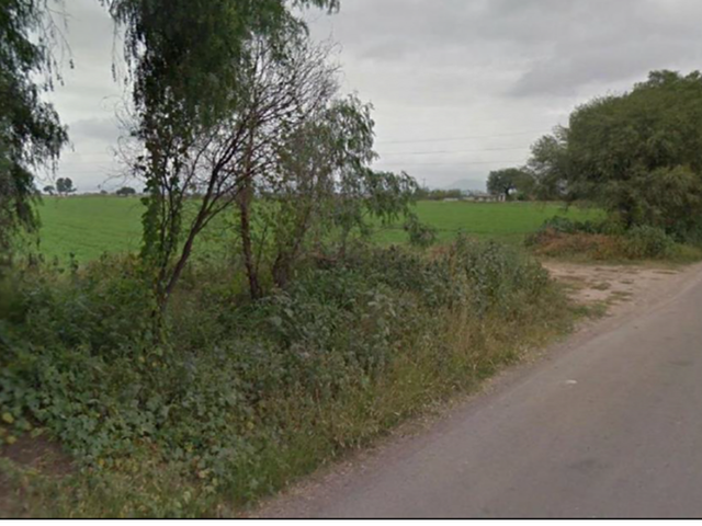 place photo 11