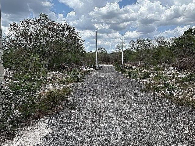 place photo 5