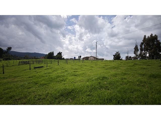place photo 43
