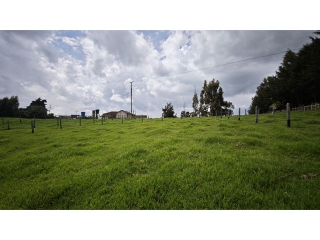 place photo 42