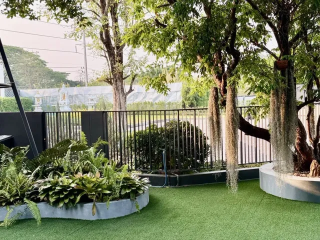 place photo 30