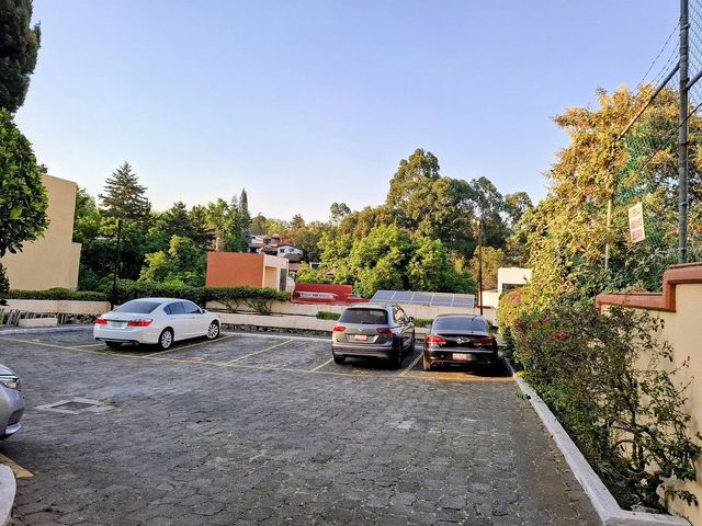 place photo 24