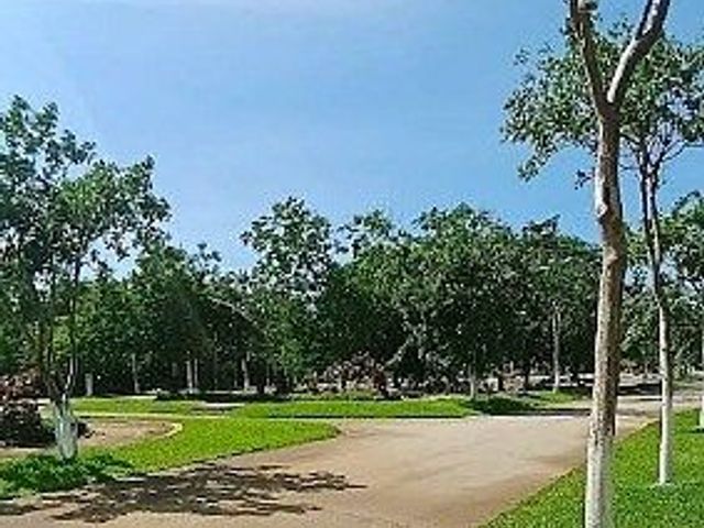 place photo 8