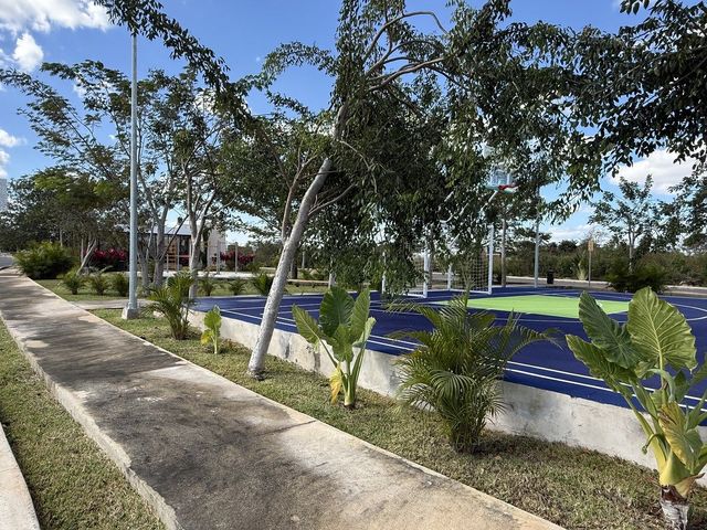 place photo 18