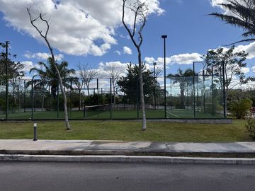 place photo 17