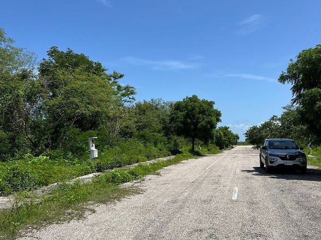 place photo 13