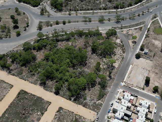 place photo 18